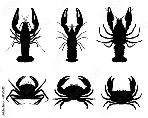 Black silhouettes of crawfish and crab, vector