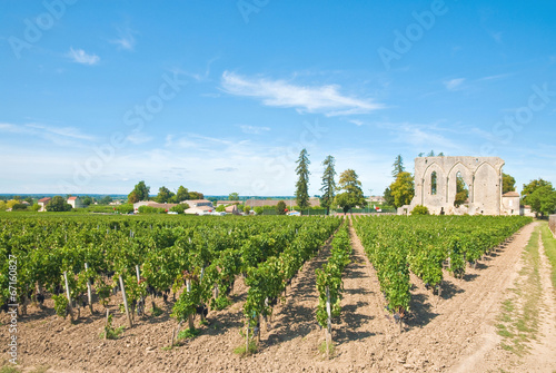 Vineyard of Saint-Emilion, France Fototapet