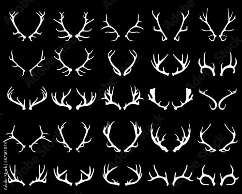 White silhouettes of antlers on a black background, vector