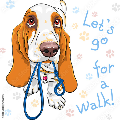 vector baby dog Basset Hound breed