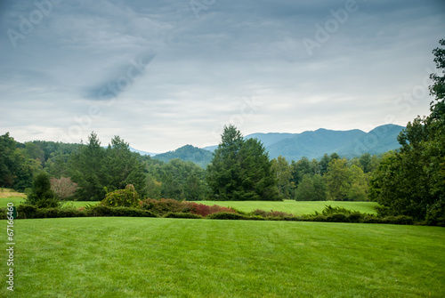 Lawn in Western North Carolina