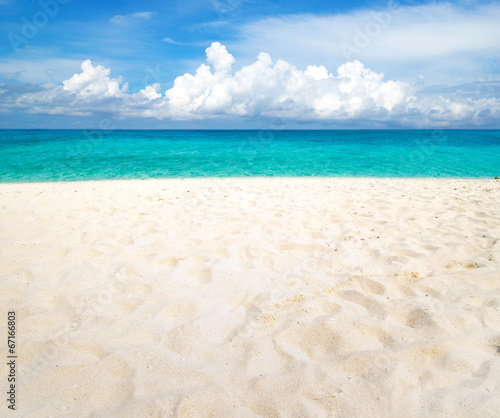 beach and tropical sea