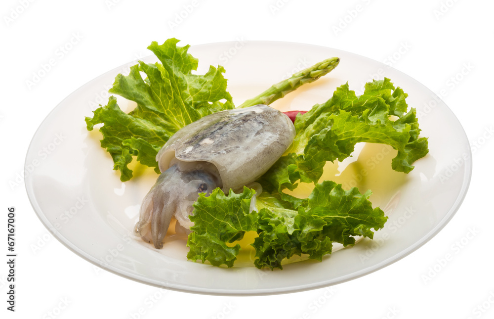 Raw cuttlefish Raw cuttlefish