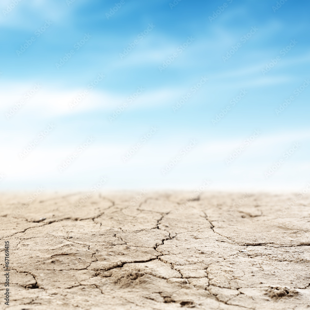 Obraz premium summer