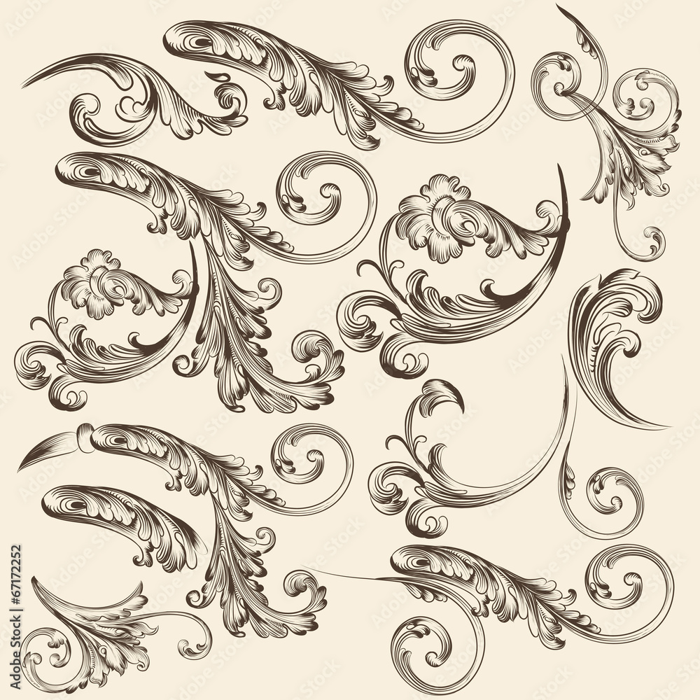 Collection of vector swirls for design Collection of vector swirls for design