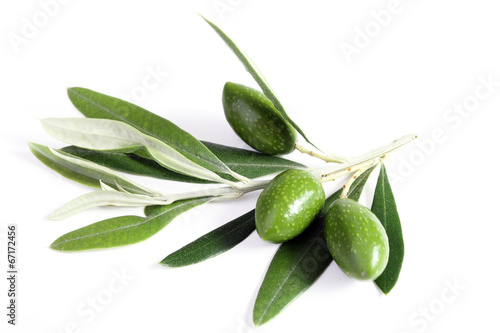 Wallpaper Mural Foglie e olive verdi Torontodigital.ca