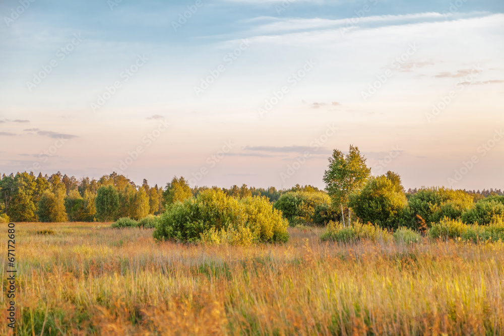 Sunset in summer field