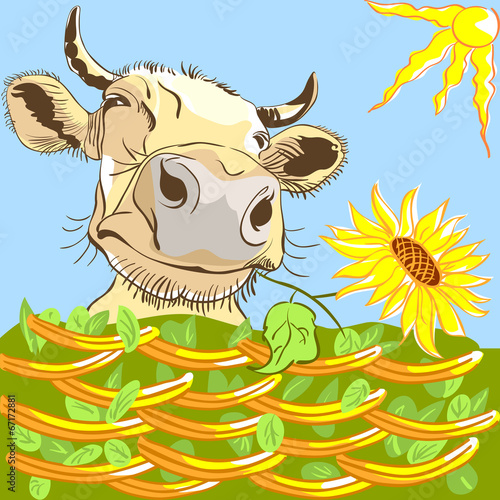Vector funny cow chewing a flower