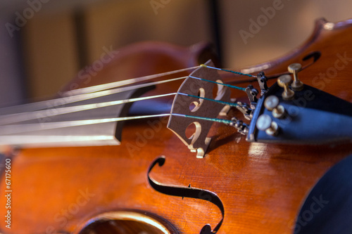 violin