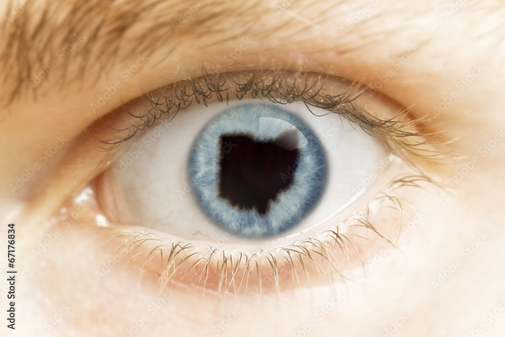 Close-up of an eye with the pupil in the shape of Ohio.(series) Close-up of an eye with the pupil in the shape of Ohio.(series)