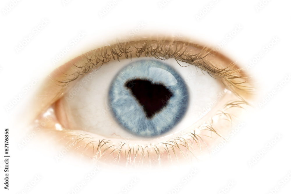 Close-up of an eye with the pupil in the shape of South Carolina Close-up of an eye with the pupil in the shape of South Carolina