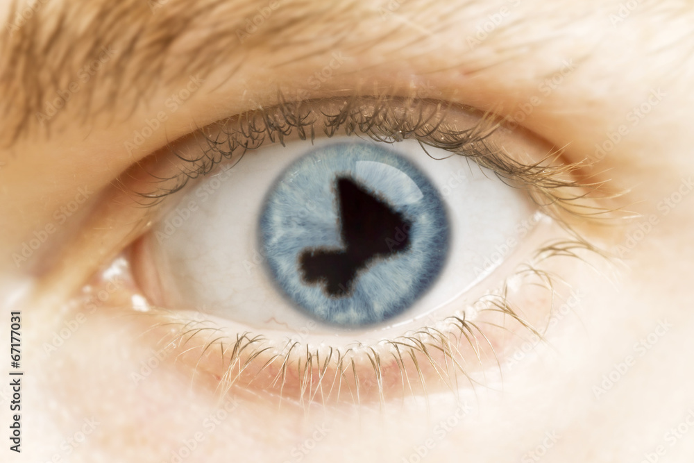 Close-up of an eye with the pupil in the shape of Mali.(series) Close-up of an eye with the pupil in the shape of Mali.(series)