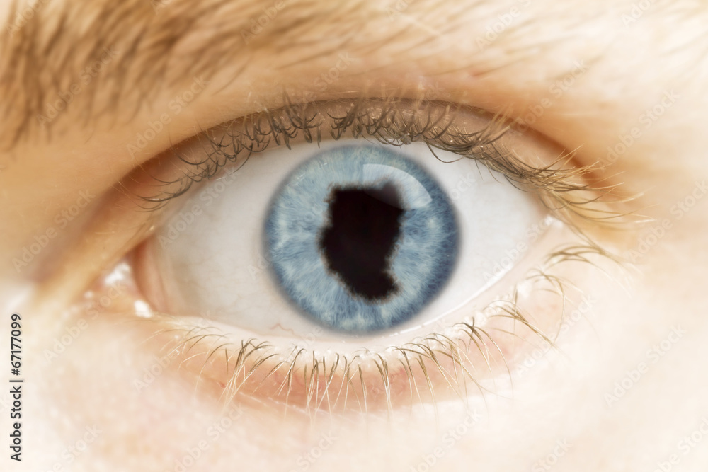 Close-up of an eye with the pupil in the shape of Sudan.(series) Close-up of an eye with the pupil in the shape of Sudan.(series)