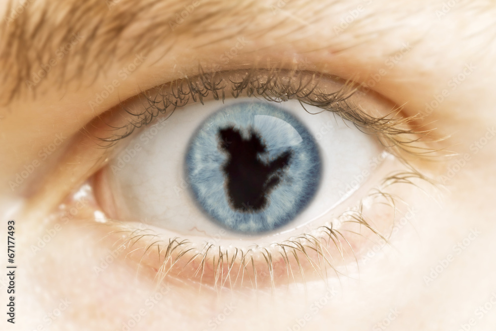Close-up of an eye with the pupil in the shape of Quebec.(series Close-up of an eye with the pupil in the shape of Quebec.(series