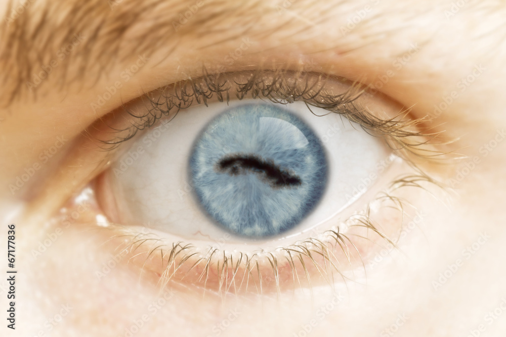 Close-up of an eye with the pupil in the shape of Cuba.(series) Close-up of an eye with the pupil in the shape of Cuba.(series)