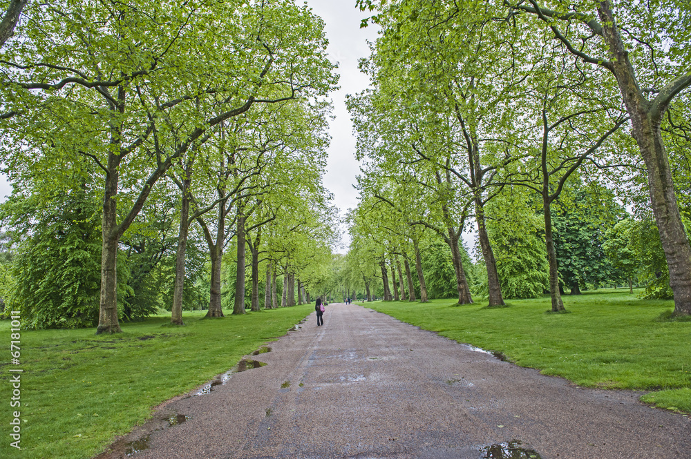 People walking in a large park with trees