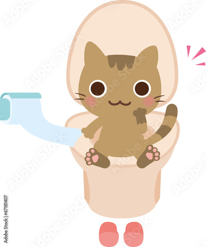 洋式トイレに座る猫