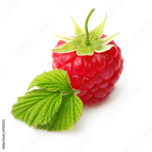 Red berry raspberry isolated