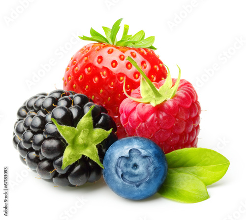 Raspberry, Strawberry, Blueberry, Blackberry