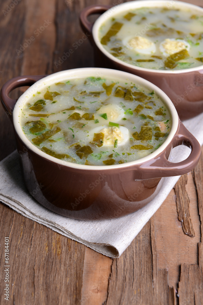 Delicious green soup with sorrel on table close-up Delicious green soup with sorrel on table close-up