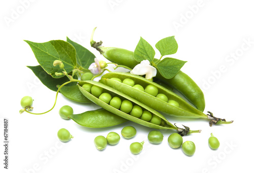 Fresh Garden Peas