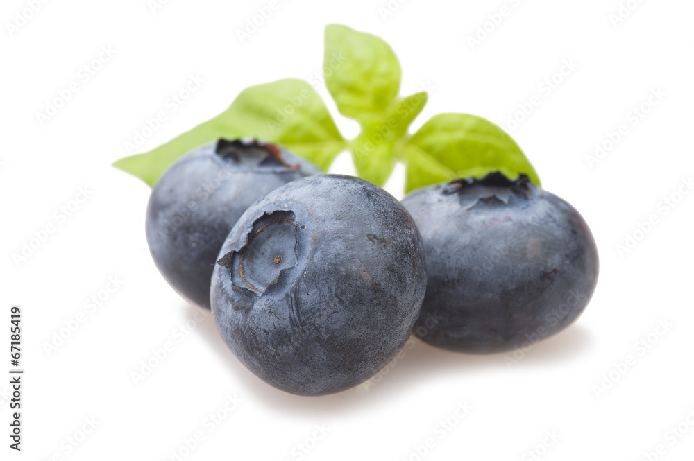 Fresh Blueberry close up on the white Fresh Blueberry close up on the white