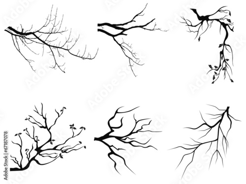 branch Silhouette shapes