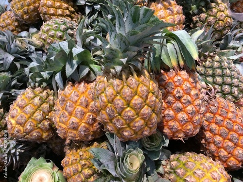 pineapple tropical fruit
