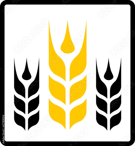 isolated wheat and darnel symbol