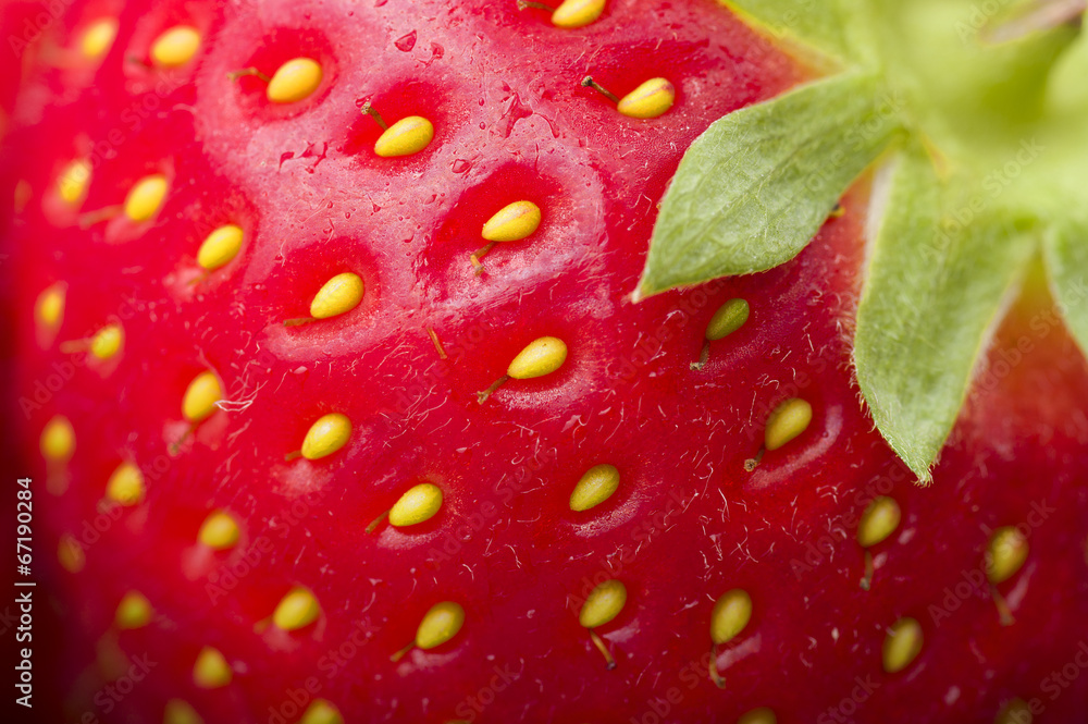Fresh Strawberry close up on the wood Fresh Strawberry close up on the wood