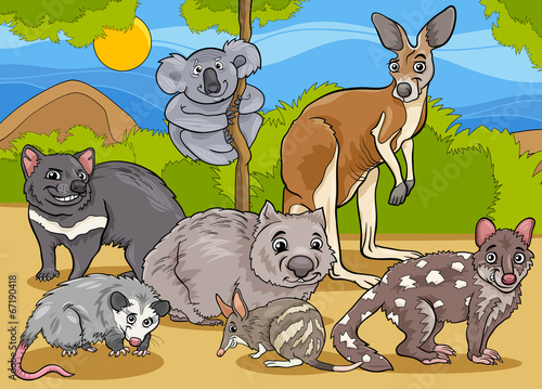marsupials animals cartoon illustration