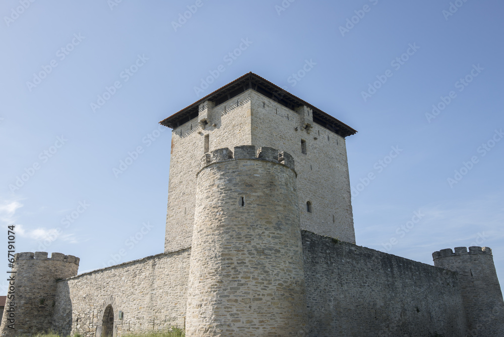 The fortified tower of Mendoza, Vitoria (Spain)