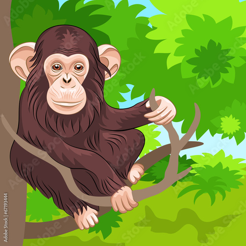 vector of funny monkey chimp in the jungle