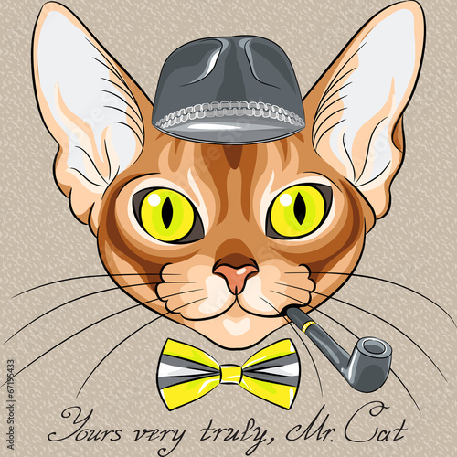 vector  cartoon hipster red cat Abyssinian breed