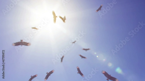 Ominous view of vultures circling overhead on a hot sunny day. photo