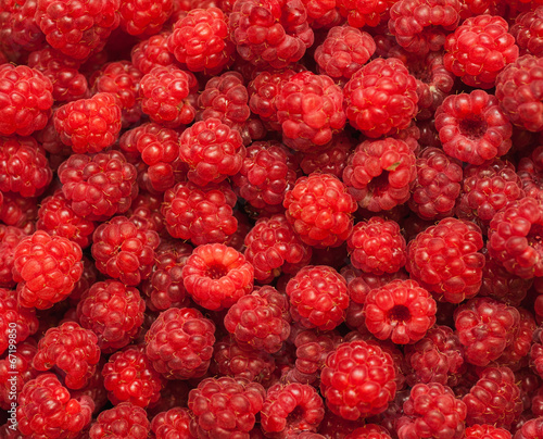 many red succulent raspberries backgrounds