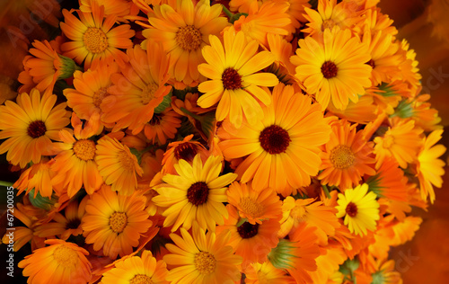 Collected calendula flowers.
