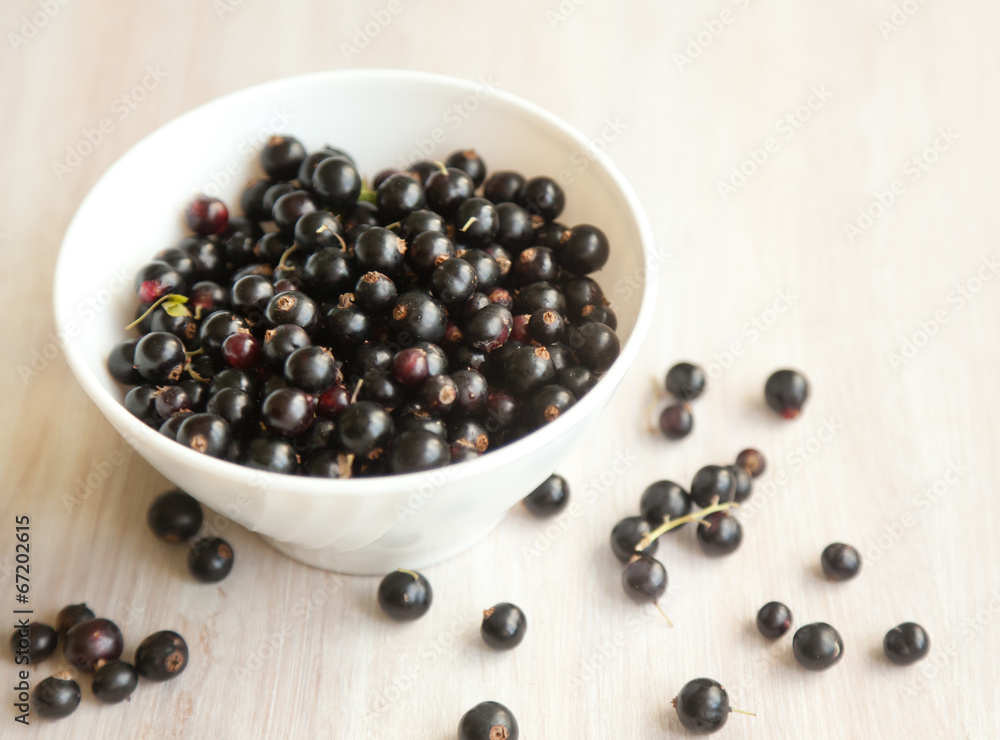 black currant berries in white plate, soft focus black currant berries in white plate, soft focus