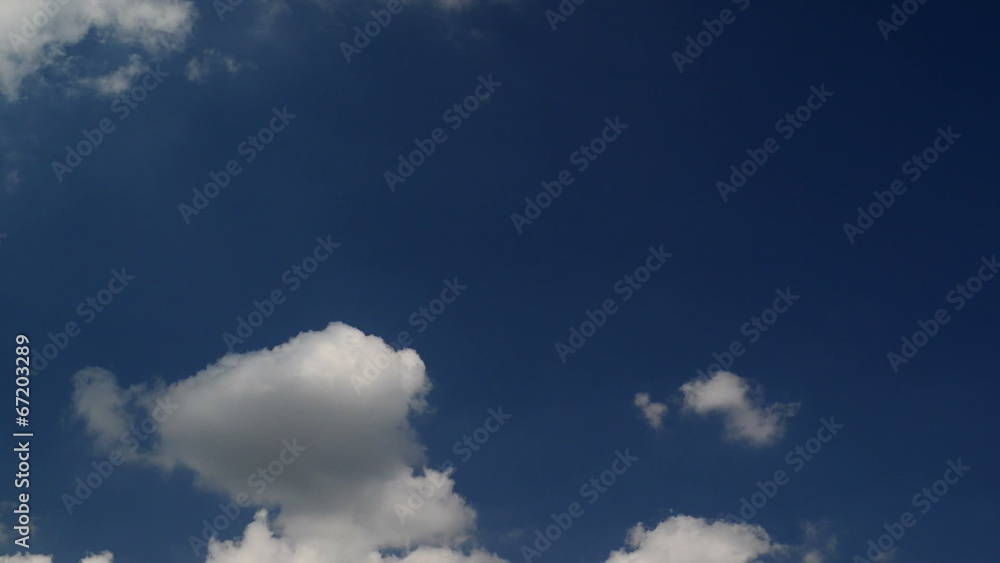 Birds flying on bright summer day across the blue sky Birds flying on bright summer day across the blue sky