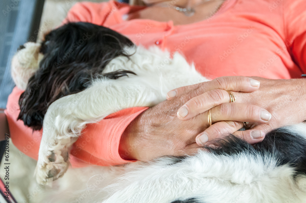 Retraitée avec chien Retraitée avec chien