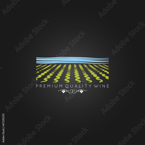 wine field design background