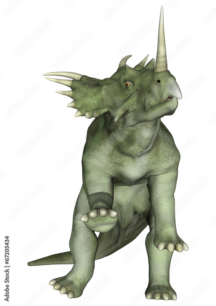 Fototapeta premium Dinosaur Styracosaurus