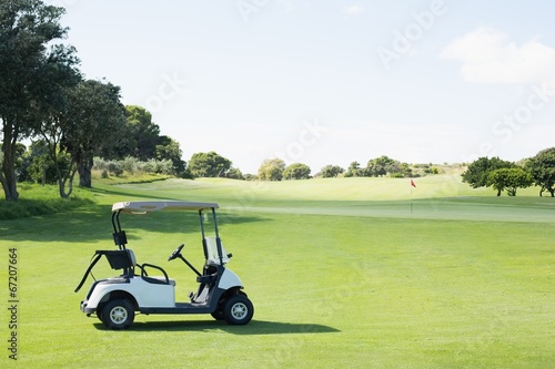 Εκτύπωση καμβά Golf buggy with no one around
