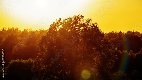 Evening sun over trees. Sunset. HD 1080.