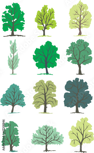 ARBRES DES BOIS