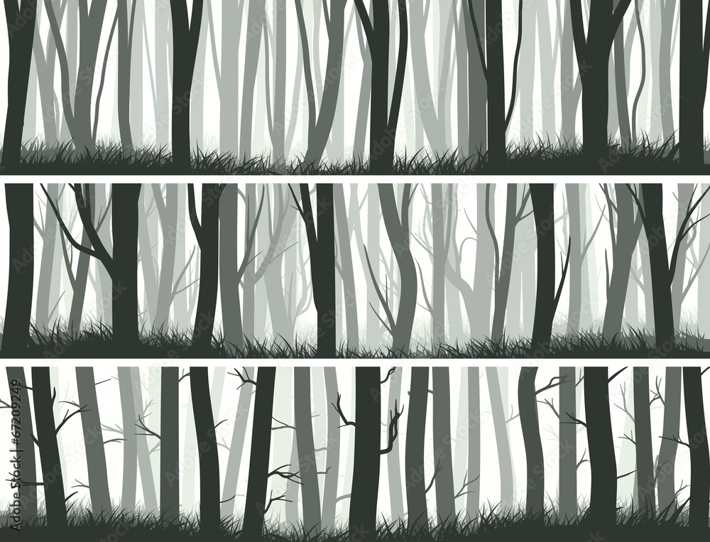 Fototapeta premium Horizontal banners forest with trunks of trees.
