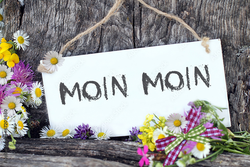 Naklejka premium Moin Moin