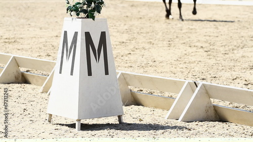 Dressage arena and horse