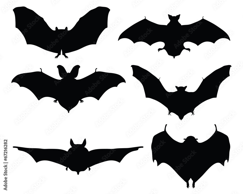 Naklejka premium Black silhouettes of bats on a white background, vector
