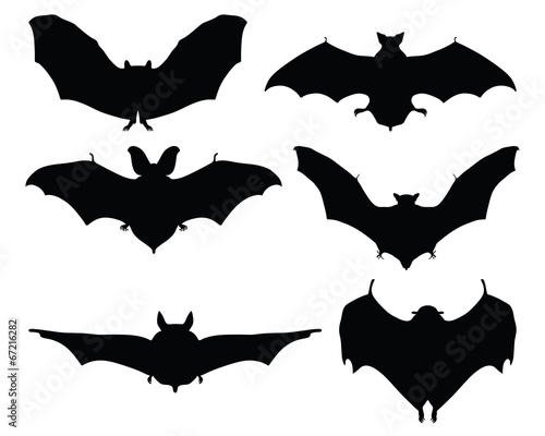 Black silhouettes of bats on a white background, vector